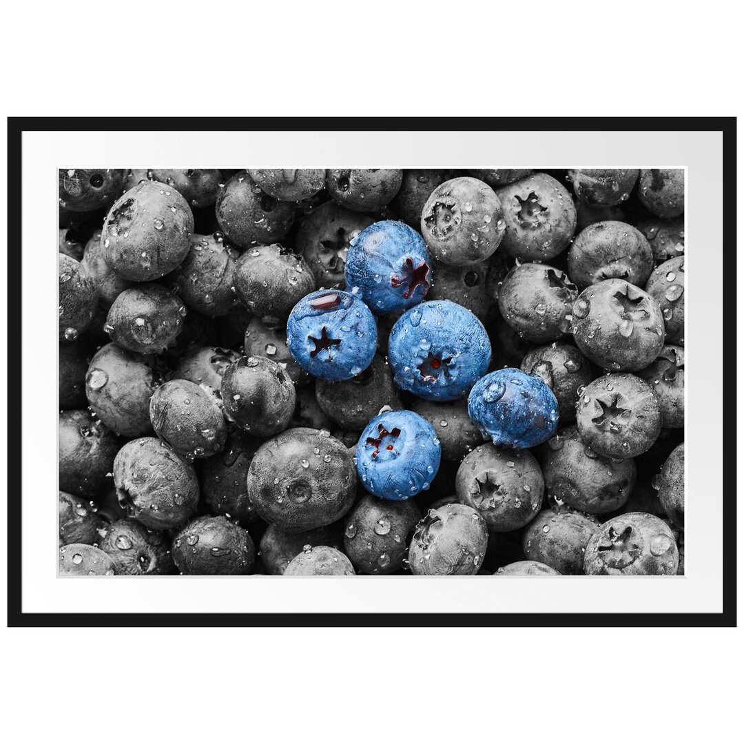 Blaubeeren mit Wassertröpfchen Gerahmter Fotodruck