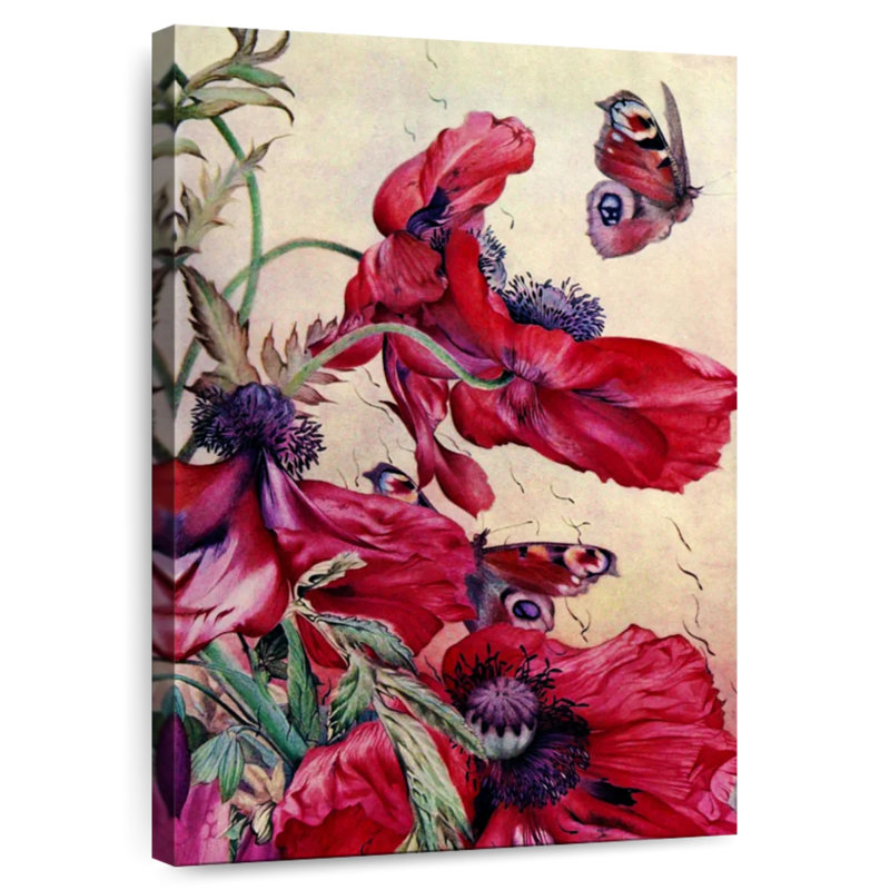 Harnek Poppy Nature Study 1917, H 24 po x l 16 po