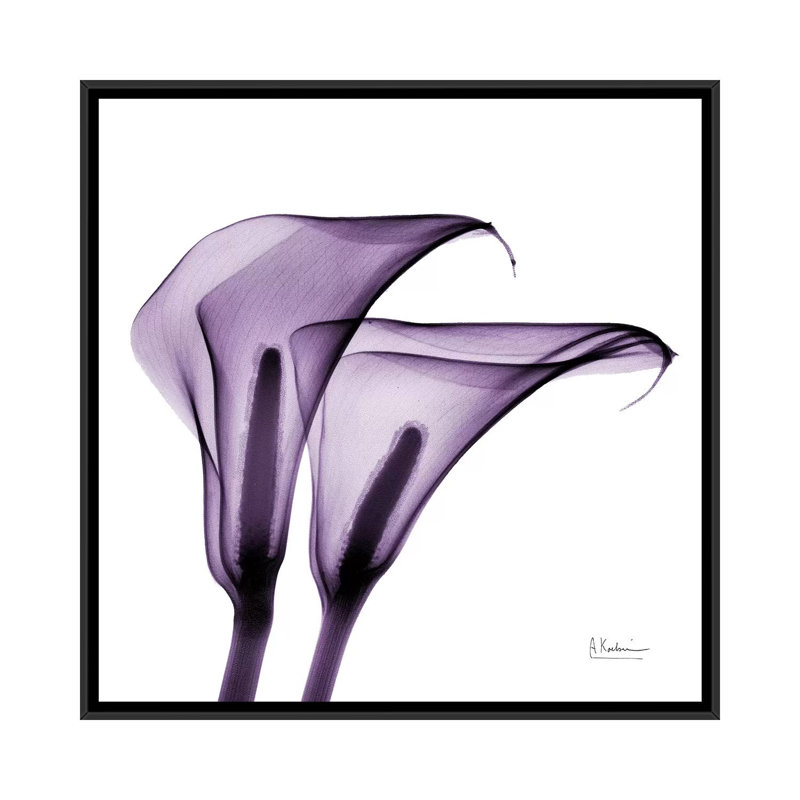 «Calla Lilies II», estampe numérique sur toile tendue, H 18 po x l 18 po x P 1,5 po, Toile avec cadre noir