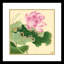 Lotus in Wind 02 by Xiu Yitang - Single Picture Frame Print-1105759613