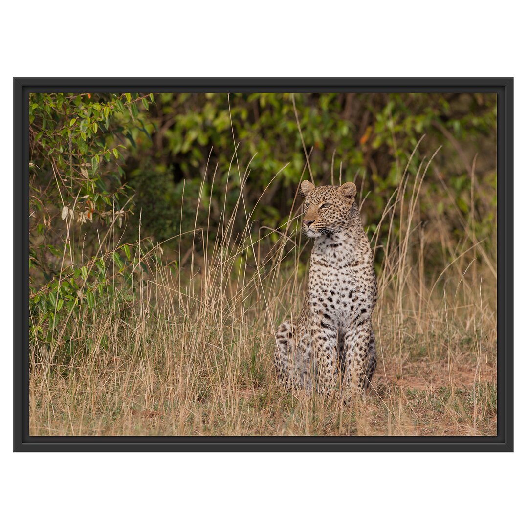 Gerahmtes Wandbild anmutiger Leopardhohen Gras