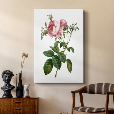 Botanical Beauty IV - Gallery Cavas