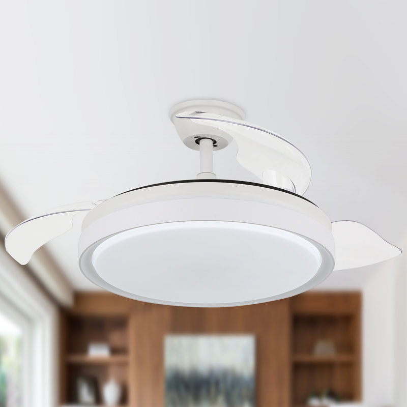 Dinae 42'' Ceiling Fan with LED Lights, White