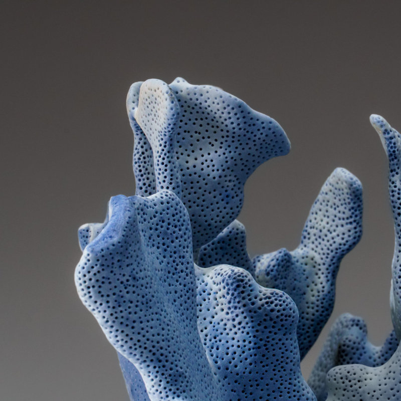 Genuine Blue Ridge Coral (8", 3 Lbs)