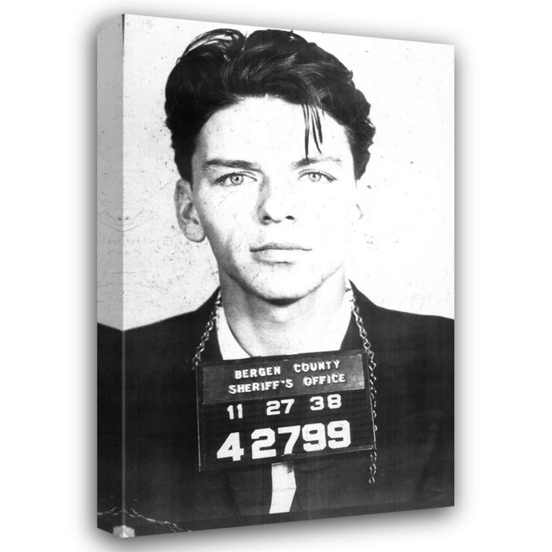 Frank Sinatra Mugshot, 24" H x 15" W