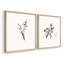 «Vintage Floral XXII», impression giclée sur cadre - ensemble de 2-813104423-813104443