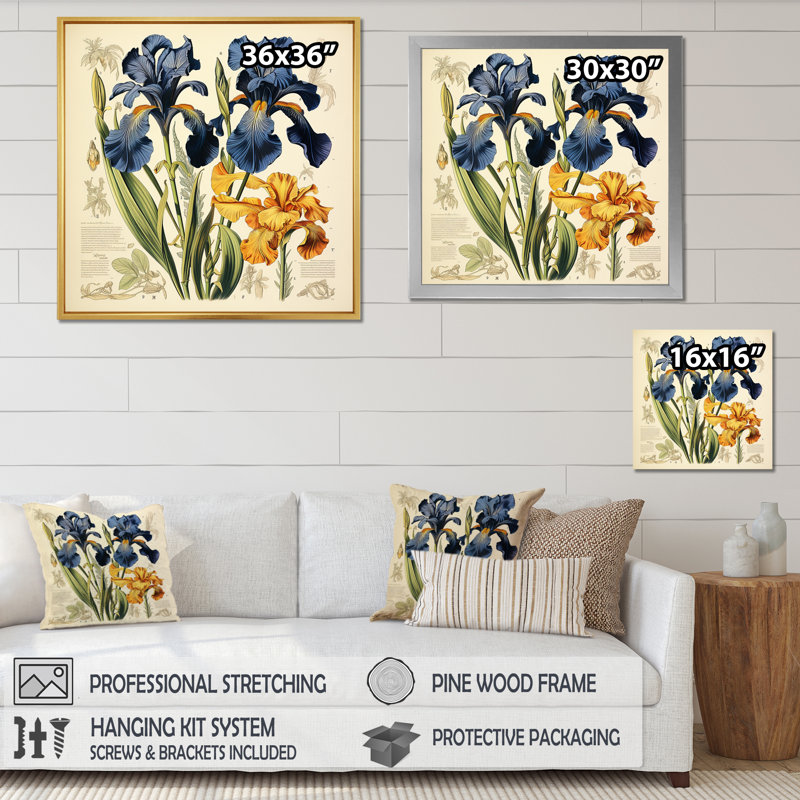Illustration rétro - iris bleus, Cadre flottant blanc, H 36 po x l 36 po x P 1,5 po