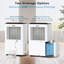 24L‑Per‑Day Smart Portable Dehumidifier, Digital Display Air Dryer with 5L Water Tank & Drain Hose, 24H Timer, Child Lock for Bedrooms, Bathrooms and Basements