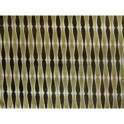 Dragonfly Fabric