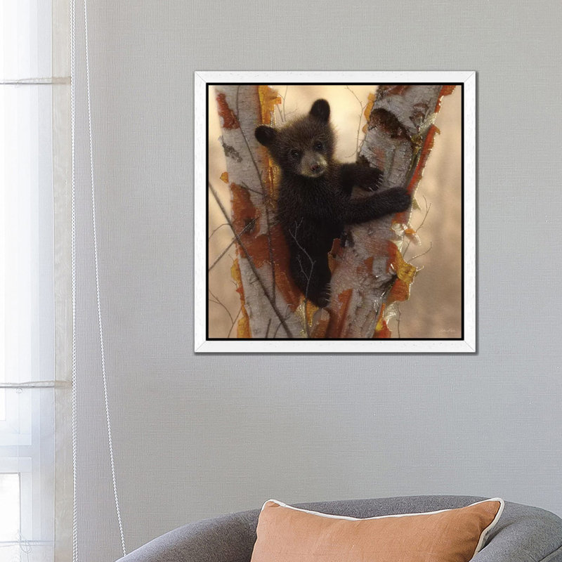 Curious Black Bear Cub I 1 Piece Wall Art on Canvas, 93.98 cm H x 93.98 cm W, White Framed