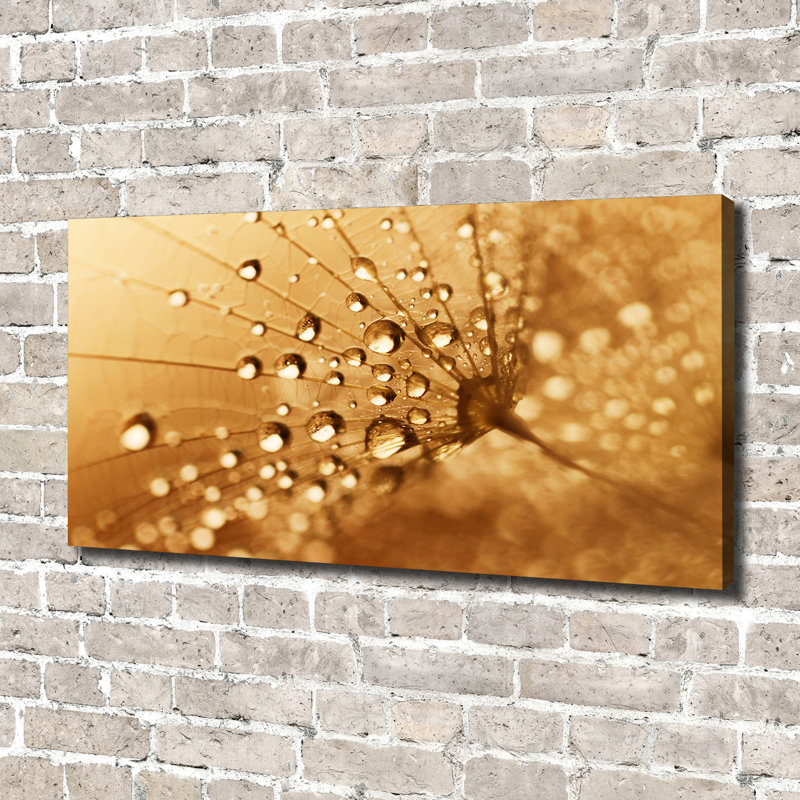 Dandelion - Wrapped Canvas Print