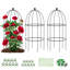 Grow By Plant Support-109019019