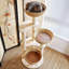 19.69"Solid wood log colour cat climbing frame and cat tree integrated rattan vertical style