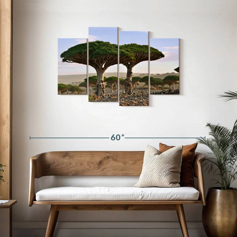 Alvord deux sapins Socotra, H 27 po x l 43 po