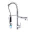 Belfry Kitchen Ferryhill Pull Down Kitchen Faucet