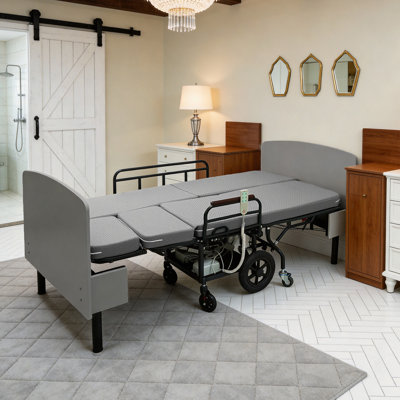 Lit électrique 3 en 1 avec deux moteurs OKIN, convertible en fauteuil roulant et brancard, réglage à une touche, télécommande câblée, rails de sécurité, cadre robuste pour les soins aux personnes âgées