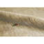 Gabbeh Wool Area Rug in Beige