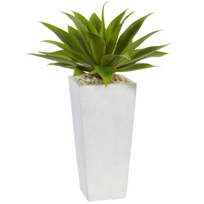 Plante grasse artificielle en pot 9,75 po