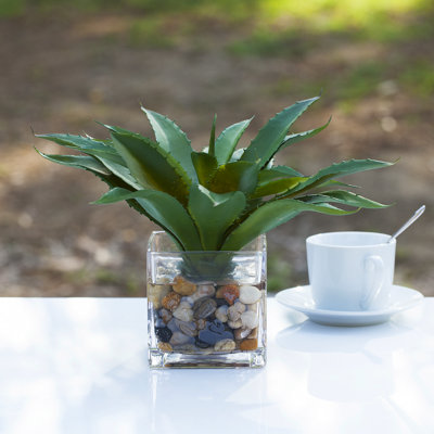 10'' Faux Succulent in Glass Vase