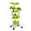 Ollyver Planter
