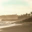 Paradiso I Print by Michelle Bennett-1382655757