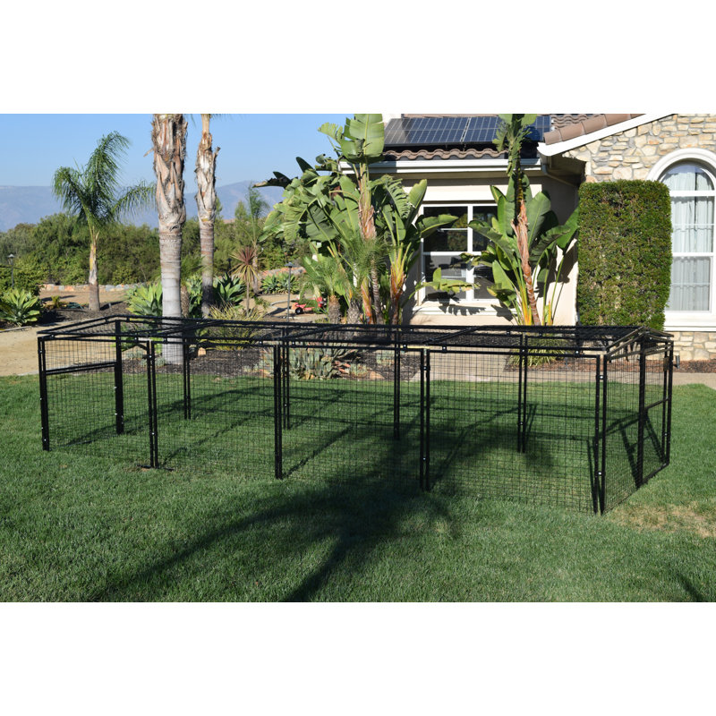 Metal Coop With Extension Combo