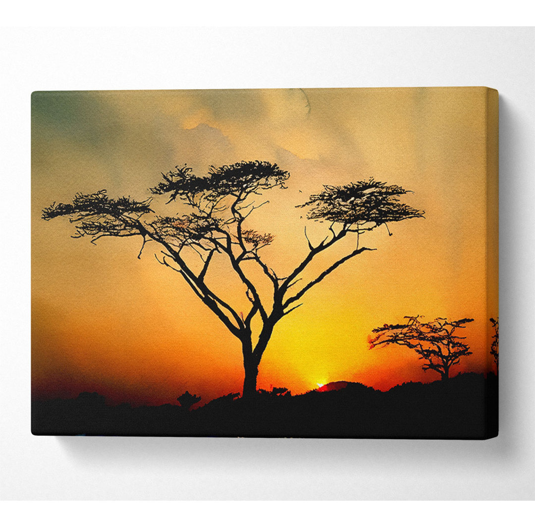 Arcania Tree Sunblaze - Wrapped Canvas Kunstdrucke