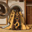 Tapis Serape Sands-304262581