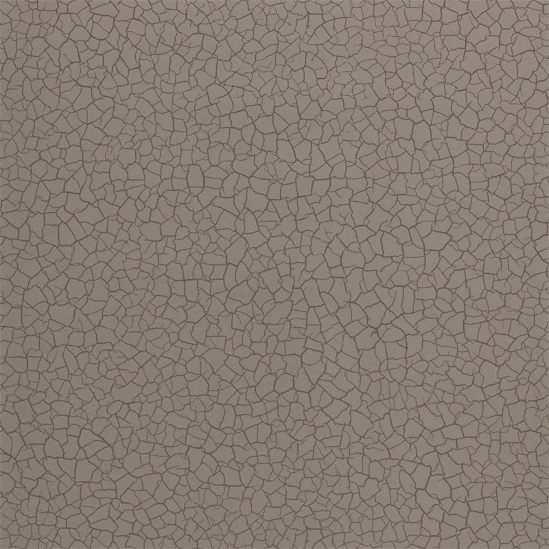 Cracked Earth Wallpaper, Gobi