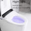 Toilette allongée intelligente avec bidet, options de chasse automatique, air chaud - Capteur de pied additionnel de salle de bain essentiel