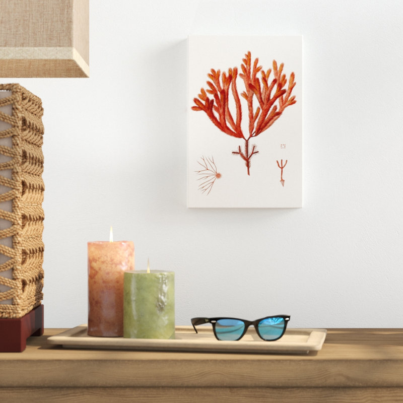 Striking Seaweed II by Vision Studio - Graphic Art Print, 30cm H x 20cm W, Wrapped Canvas