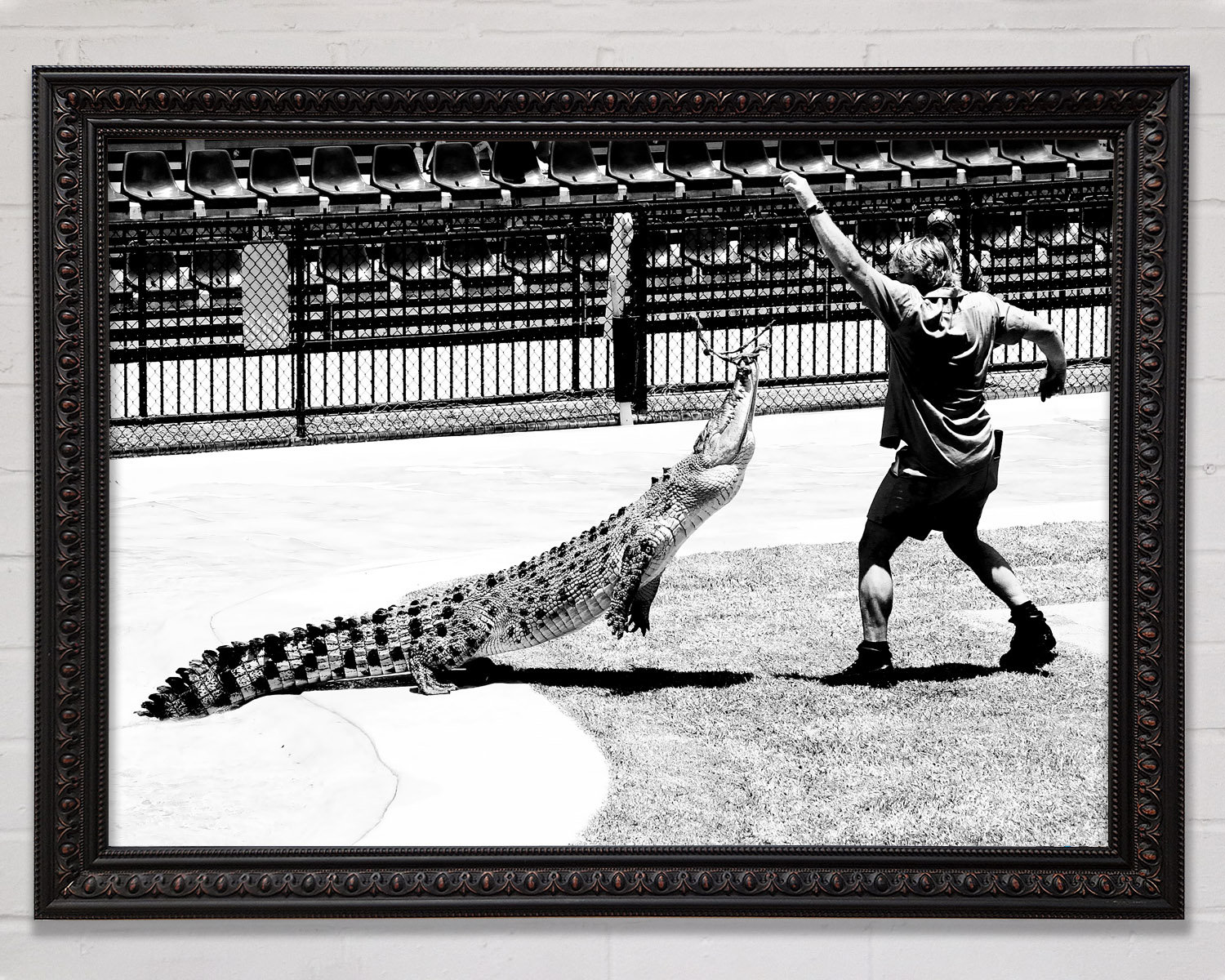 Bright Star Steve Irwin Crocodile Hunter - Single Picture Frame Art ...