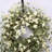 26" Eucalyptus Blossoms Cluster Floral Wreath for Front Door-1674117623