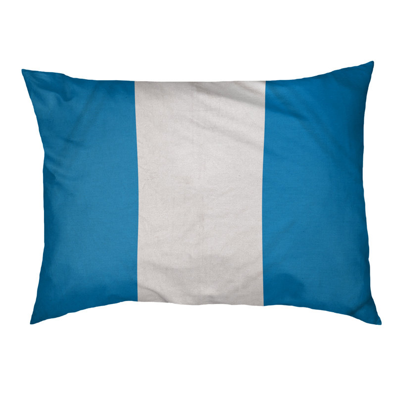 Coussin Detroit, Petit (l 28 po x P 18 po x H 6 po), Bleu / blanc