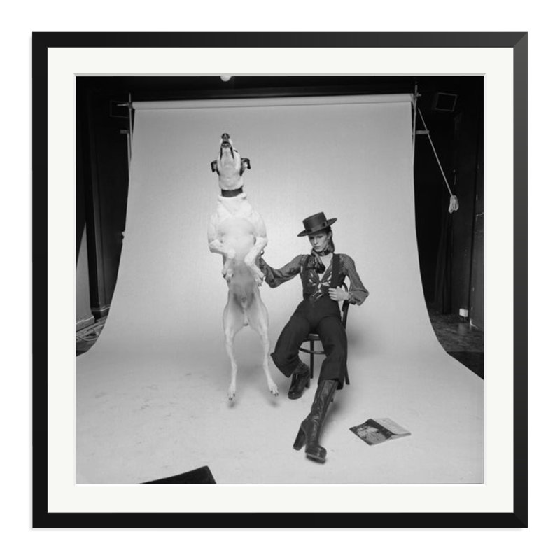 David Bowie Diamond Dog, 33" H x 33" W, Black