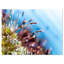 « abstract moss fleurs », impression-18297077-34273374