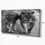Photographie "lions en noir et blanc" à l’animal-35124183-35124191