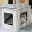 Cameron 114cm H Cat Tree