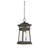 Signe Outdoor Hanging Lantern