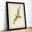 Barn Owl in Flight Botanical - Framed Print-616370953-616370959