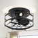 Anthony 12.5'' Black Caged Ceiling Fan with Lights and Remote Control, Small Flush Mount Ceiling Fan