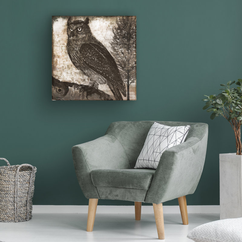 Bolog Sasha Owl 2 Canvas Art, 18" H x 18" W