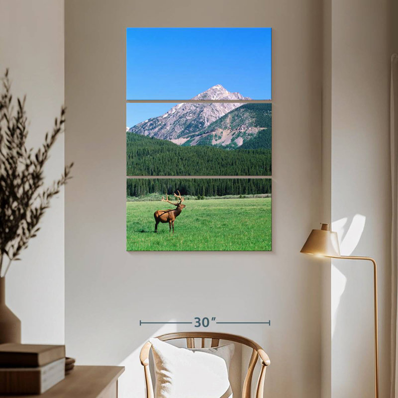 Brampt Coyote Valley Elk, 65" H x 42" W