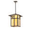 Rustic Lodge 1 - Light Pendant