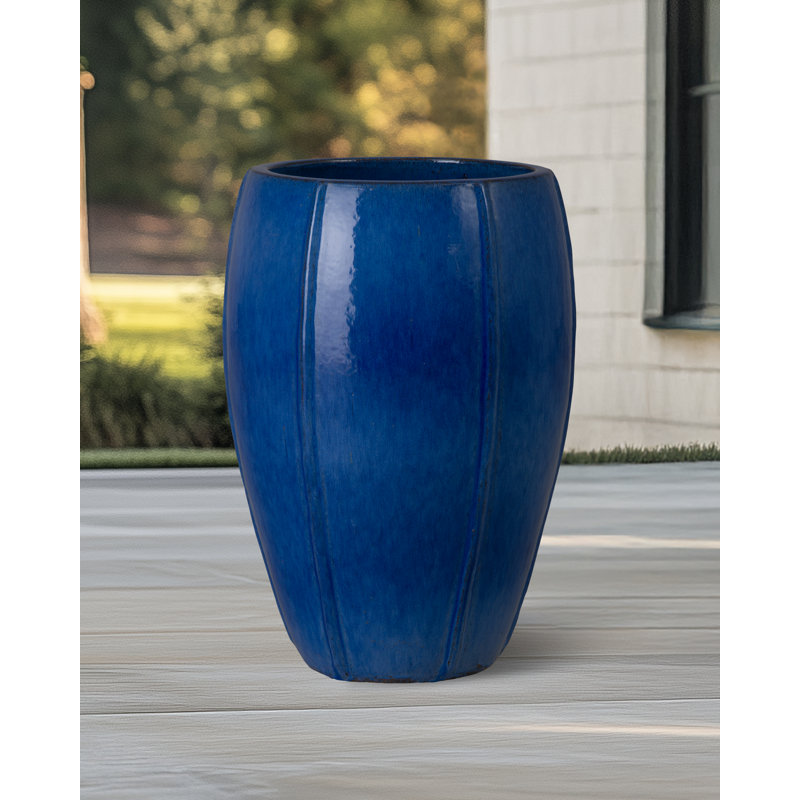 CREST PLANT, NEIGE, Bleu, H 25 po x l 18 po x P 18 po