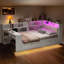 Lit plateforme intelligent - Lit de rangement multifonctionnel avec station de charge, tête de lit à DEL et bureau coulissant?-1677939574-1677939569