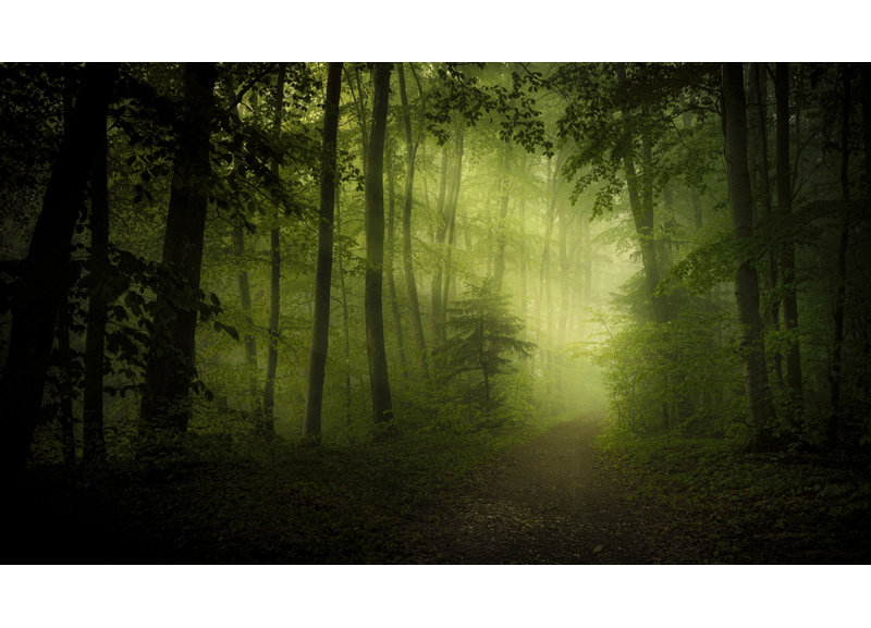 Wrapped Canvas Print, 60.96 cm H x 91.44 cm W