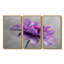 Mauve, gris, fragiles, souci, pétales de souci - ensemble d'art mural souci-395468498-395468502