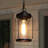 Feride 1-Light Outdoor Hanging Pendant Light