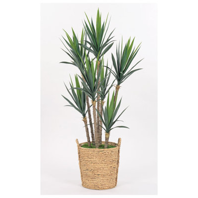 6 pieds en faux yucca dans un panier à poignée